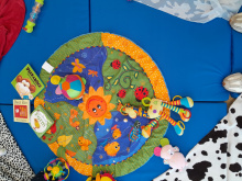 Image shows play mat with toys and books 